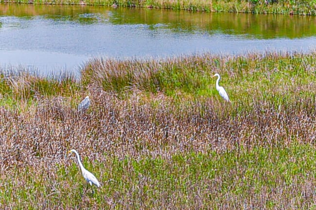 Building Photo - 3919 San Jacinto Dr