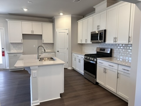 Modern Kitchen - 3712 Watson Ridge Ln