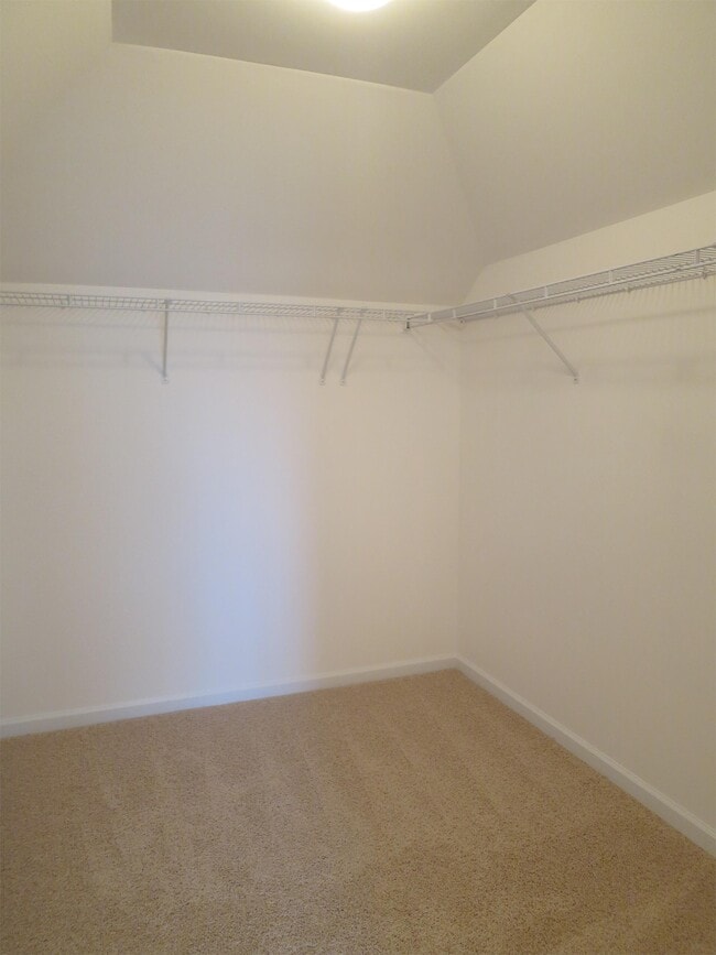 Building Photo - 305 Cinnamon Way
