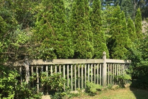 private garden - 216 Kelvin Pl