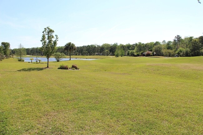 Building Photo - 49 Penny Creek Dr
