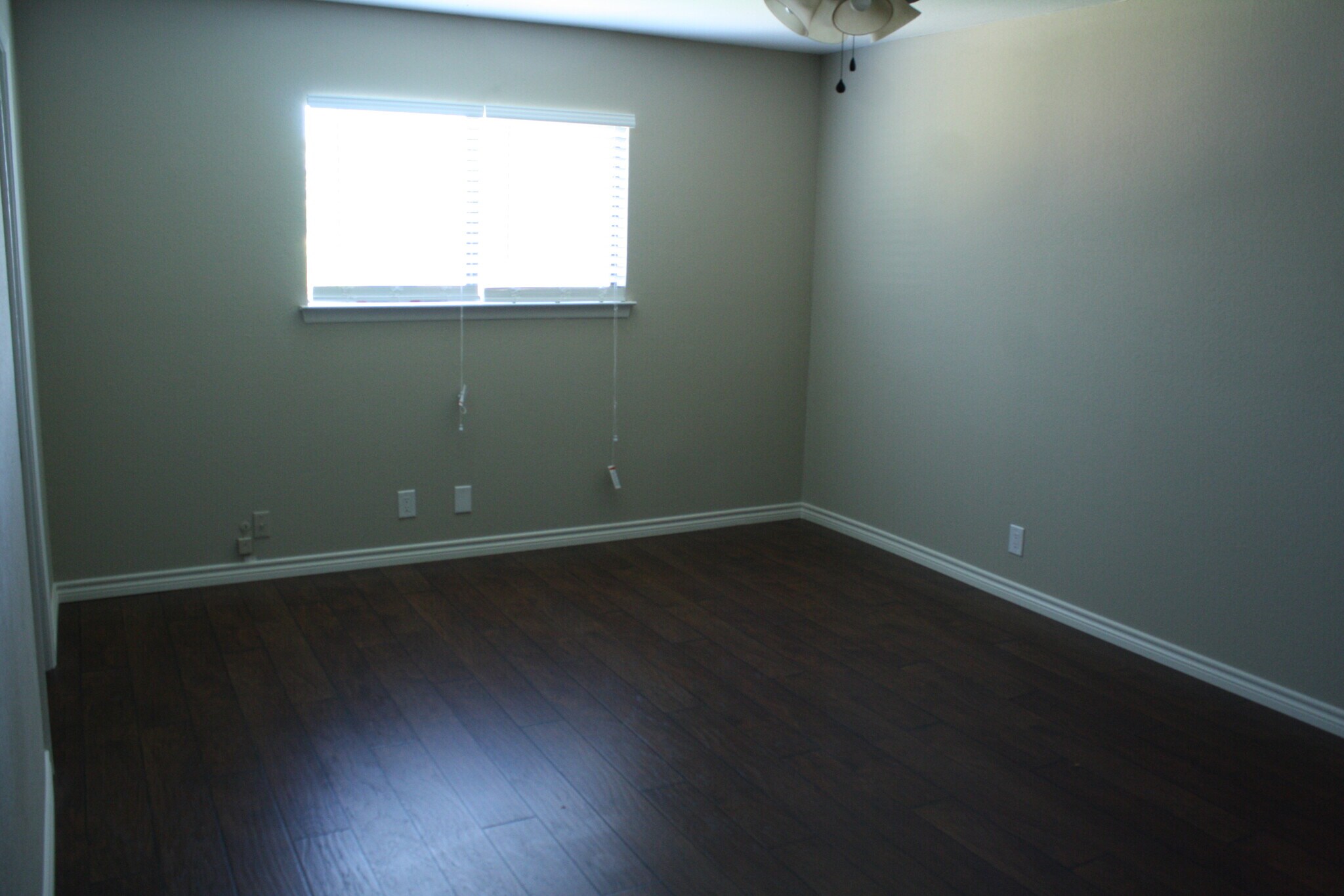 Building Photo - 5354 Maple Vis