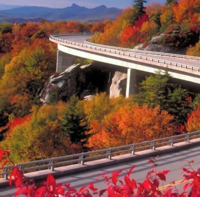 Building Photo - 303 Sugar Top Dr