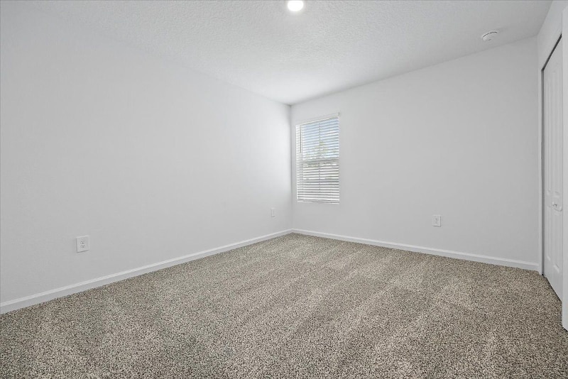 Building Photo - 77 Playa De Luna Ln