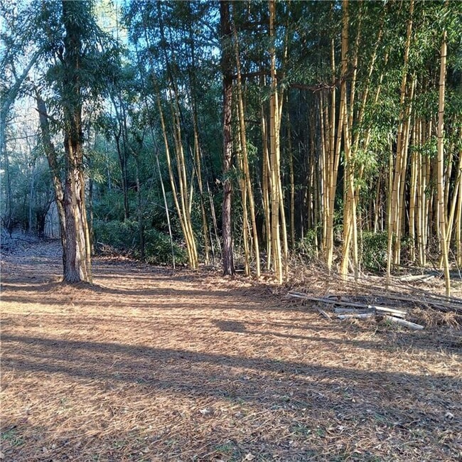 Building Photo - 241 Nacoochee Dr