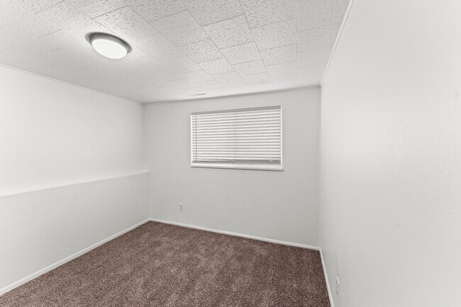 Building Photo - 4503 Bella Dr