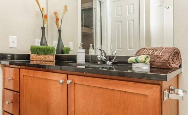 Building Photo - 2 bedroom in Houston TX 77024