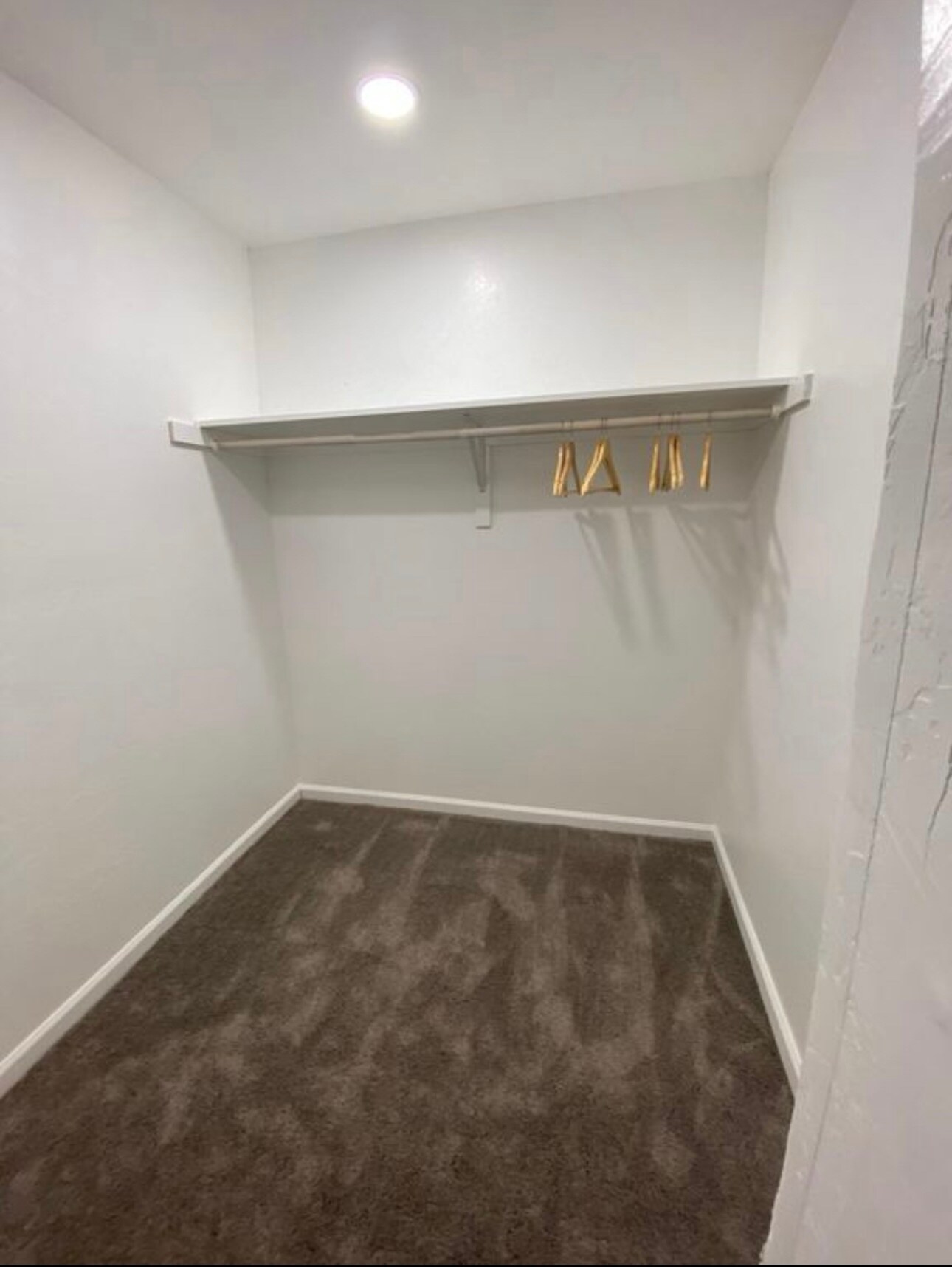 Building Photo - 1449 N Wycliff Cir