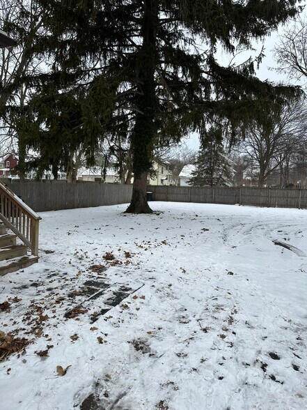 Back Yard - 144 Chapin St