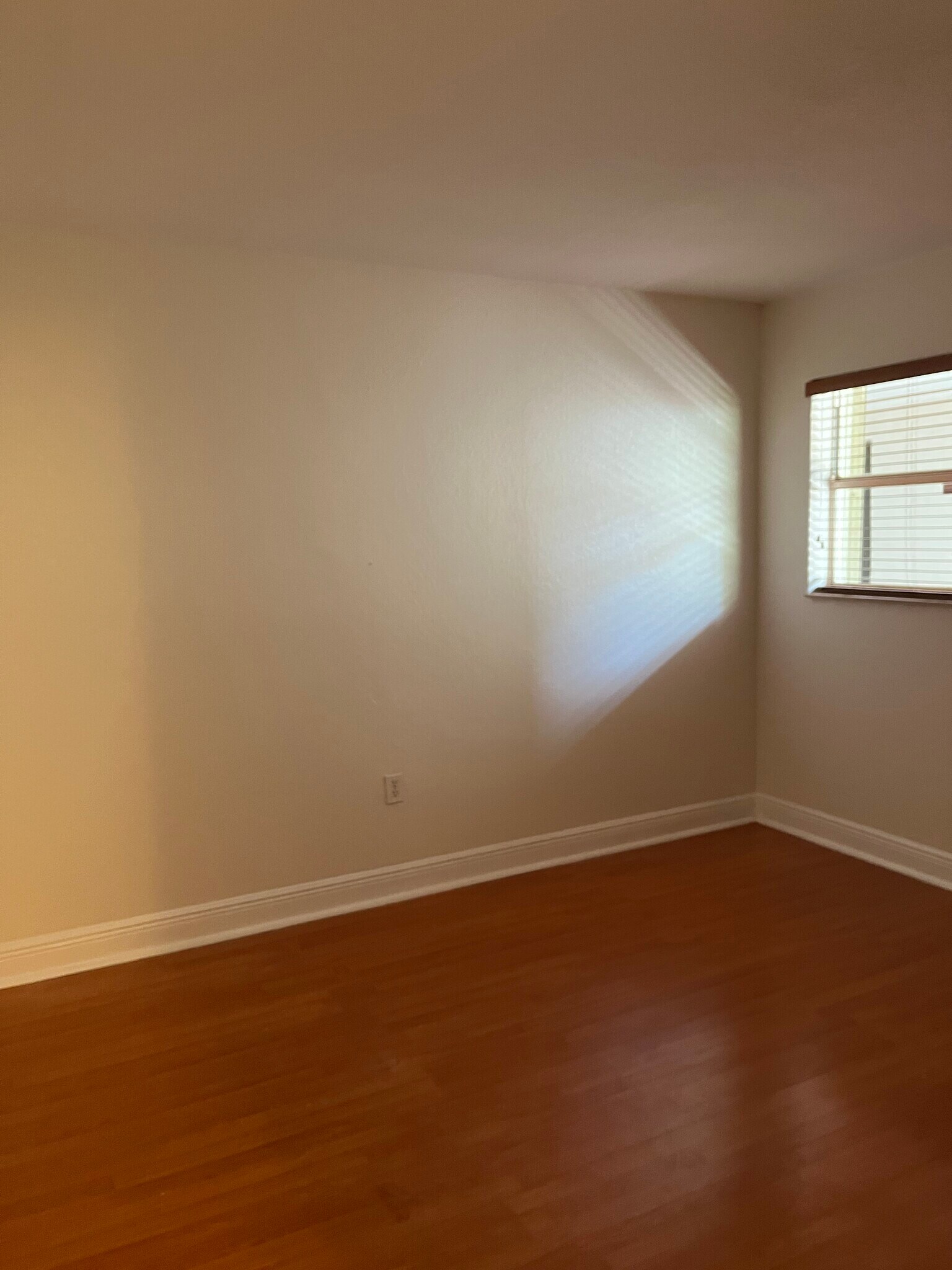 Spacious front bedroom has laminate floors - 8601 SW 94th St