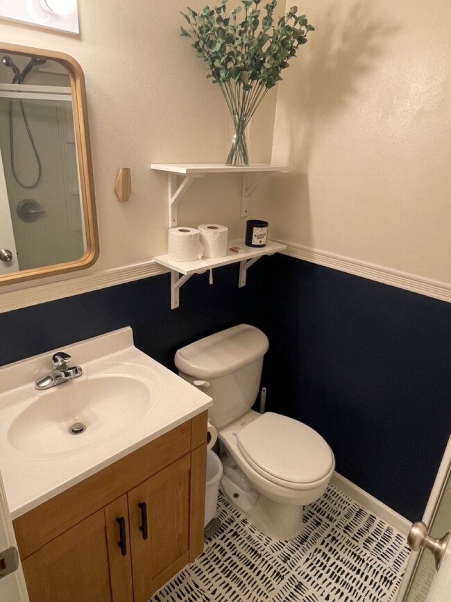 basement bathroom - 300 Southridge Pl