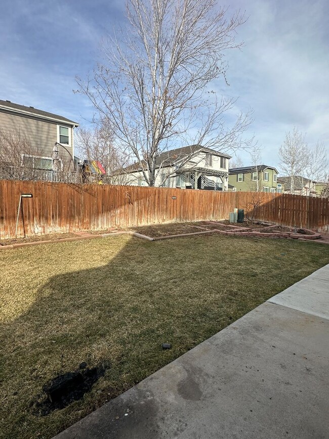 Building Photo - REMODEL Single Family House in Thornton