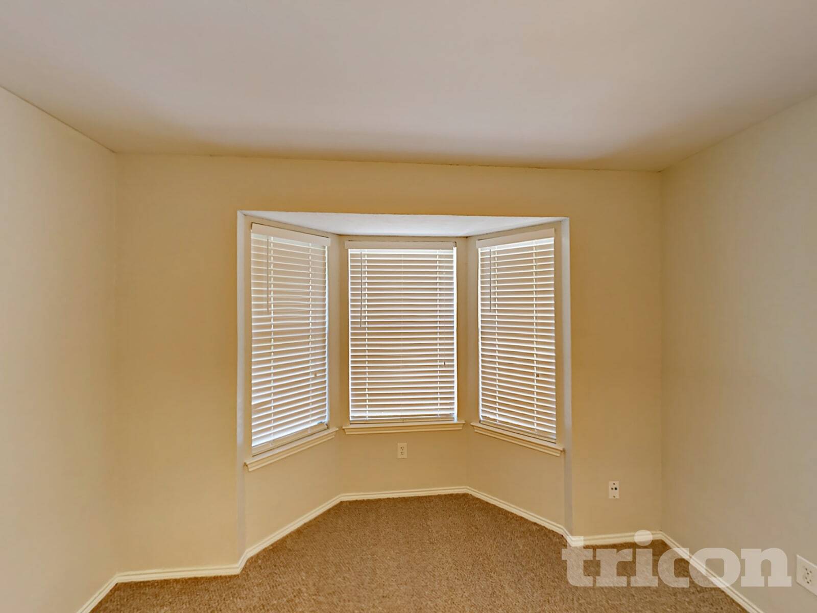 Building Photo - 5708 Woodsetter Ct