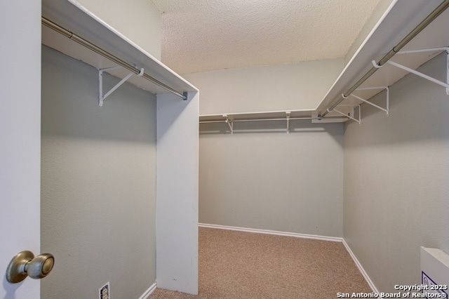 Building Photo - 10138 Sandbrook Hill