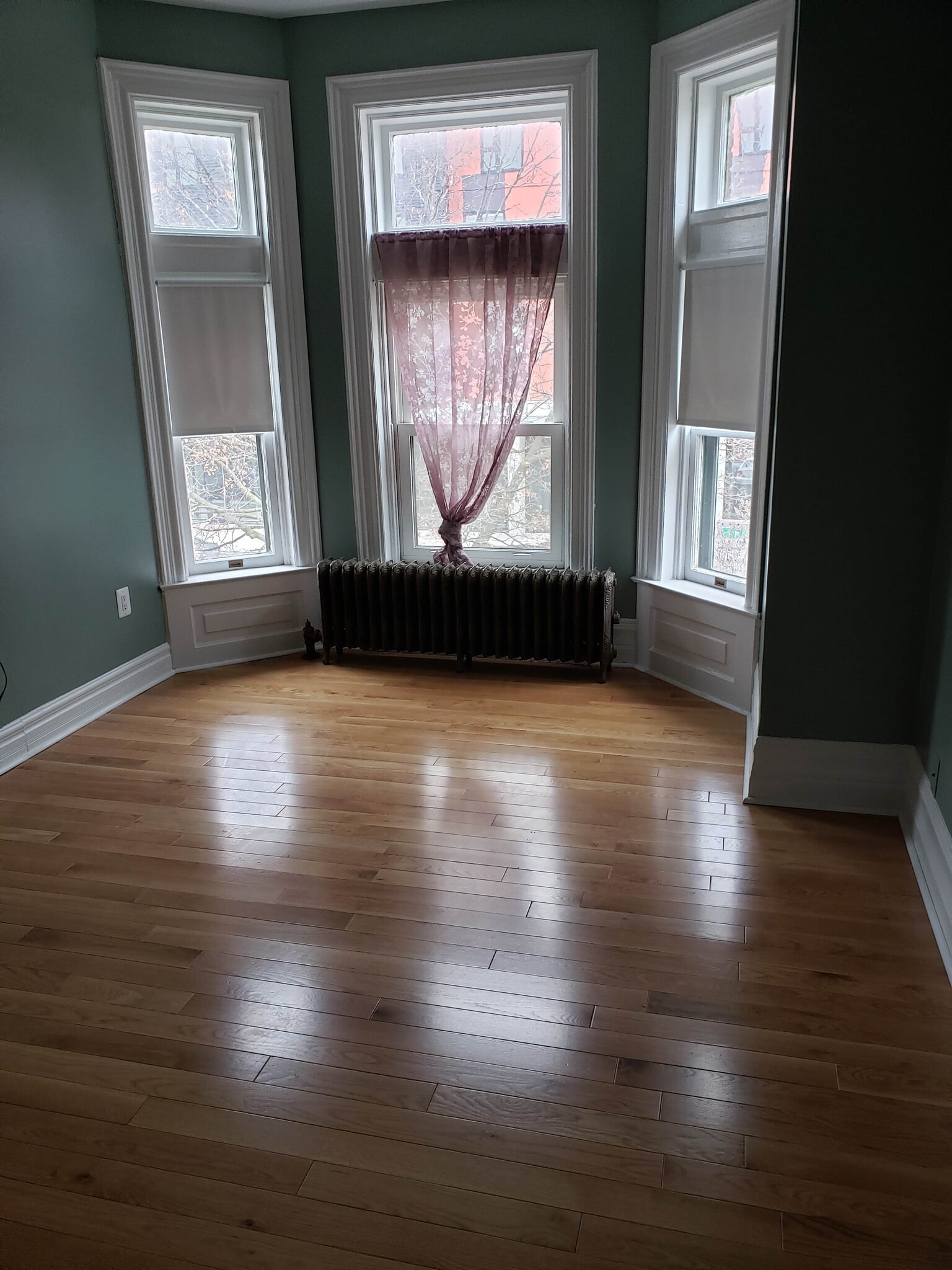 Living Room - 102 Garfield St
