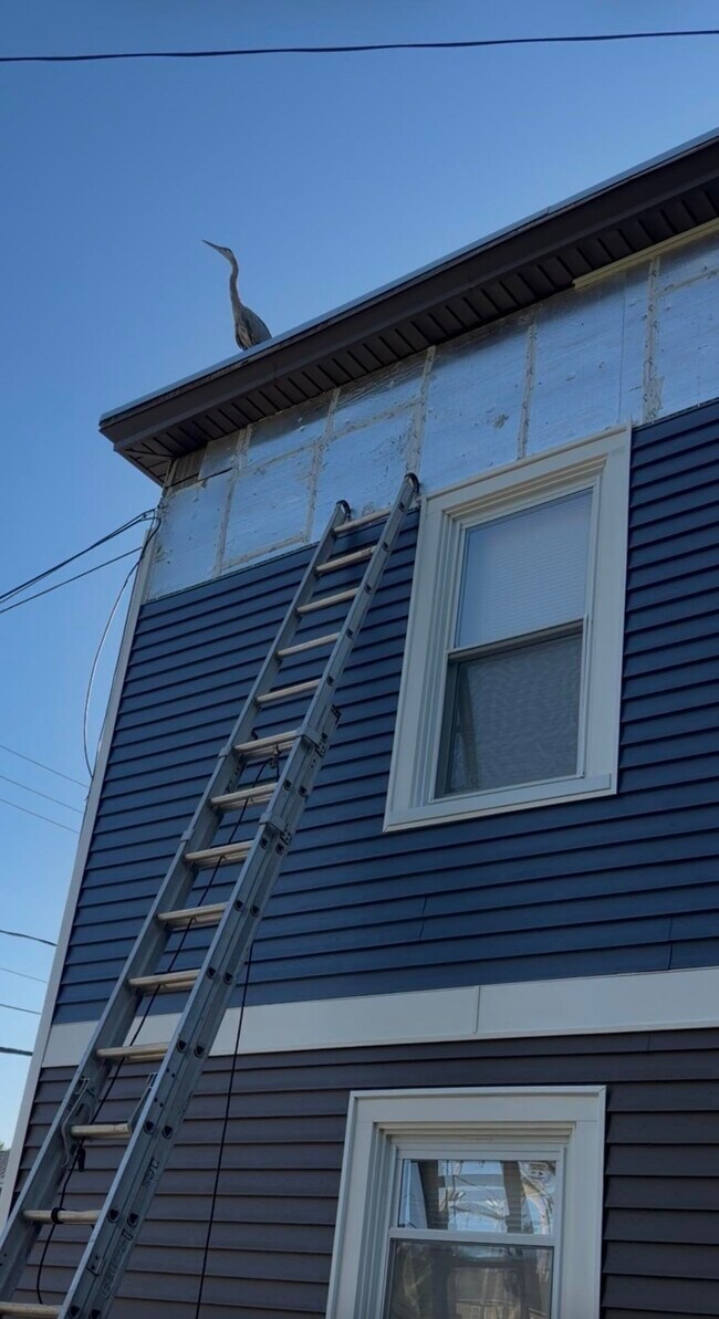 Building Photo - 34 Maple St