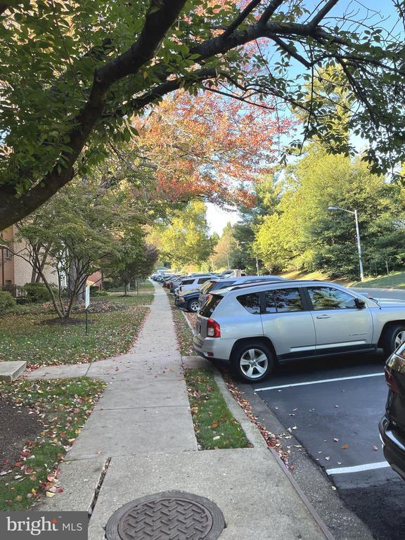 Building Photo - 10320 ROCKVILLE PIK