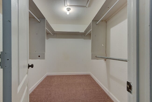 Building Photo - Freshly Renovated 3 Bedroom Home