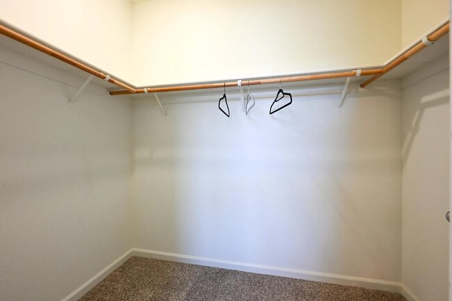 Primary Suite Walk-in Closet - 153 Barnhill Dr