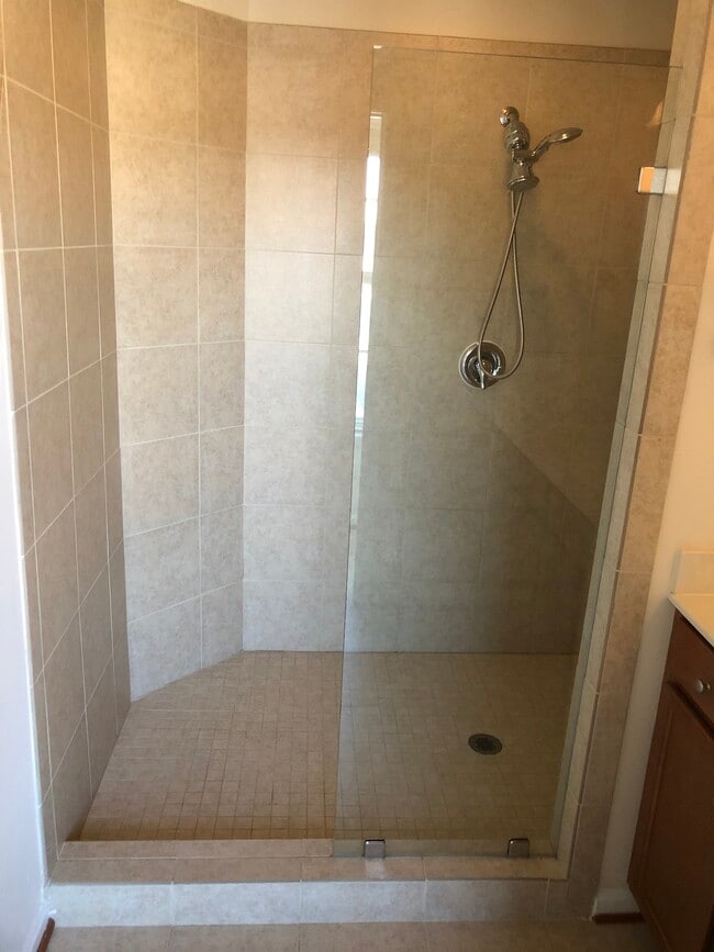 master bathroom shower - 9814 Smithview Pl