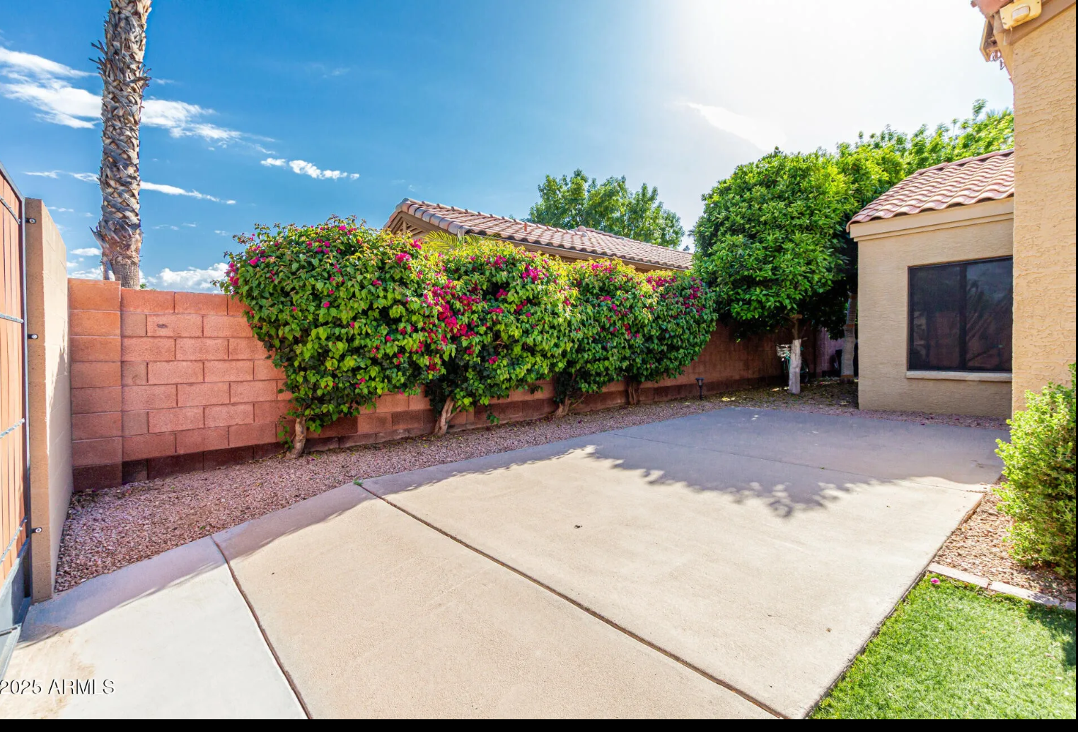 Outdoor dining with mature grapefruit and orange tree! - 4747 N 84th Way