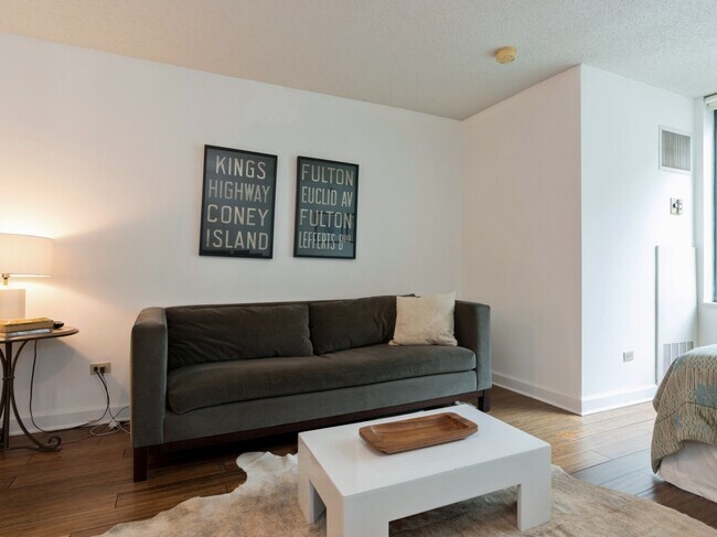 Building Photo - 480 N McClurg Ct