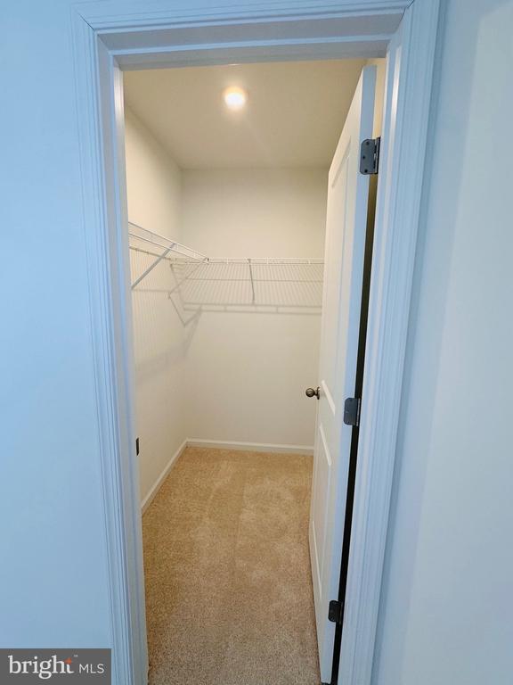 Building Photo - 58 Bolingbroke Wy