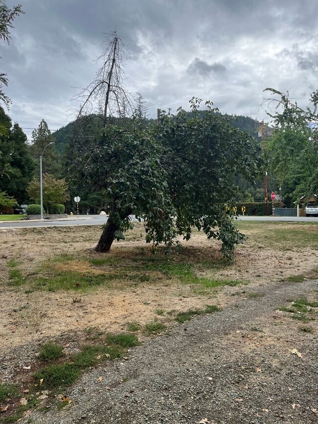 Building Photo - Quaint Studio , 1 Bath Home in Grants Pass