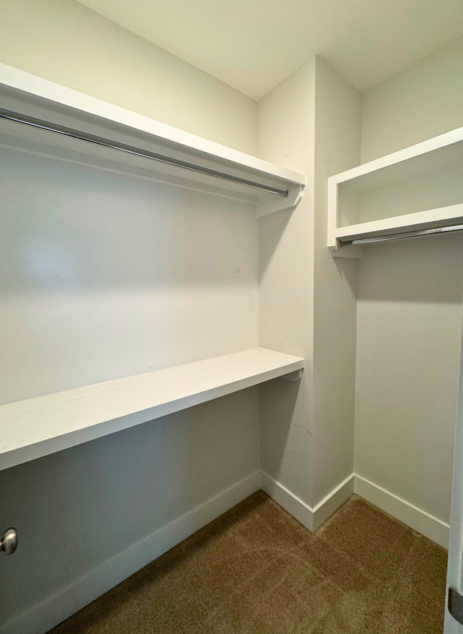 Main BR Walk-in Closet - 1728 Delta Ave