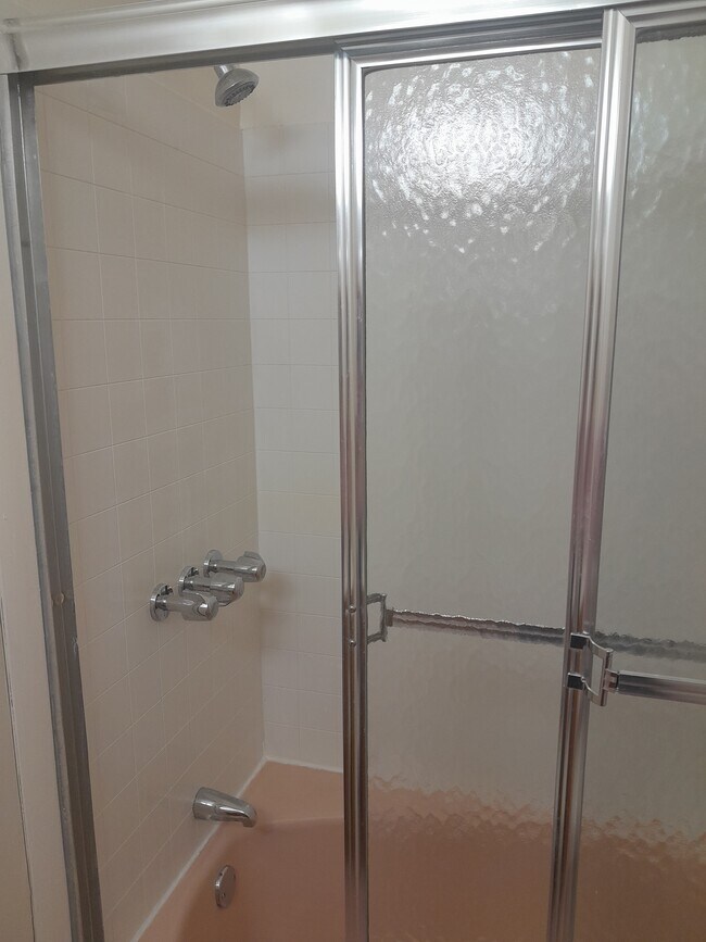 Updated Shower - 8001 Langdale St