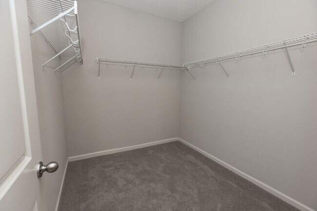 Building Photo - Shearwater, 4 bedroom 3.5 bath home for rent.