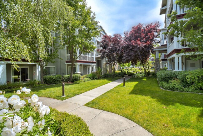 Building Photo - Oak View of Sonoma Hills Apartments