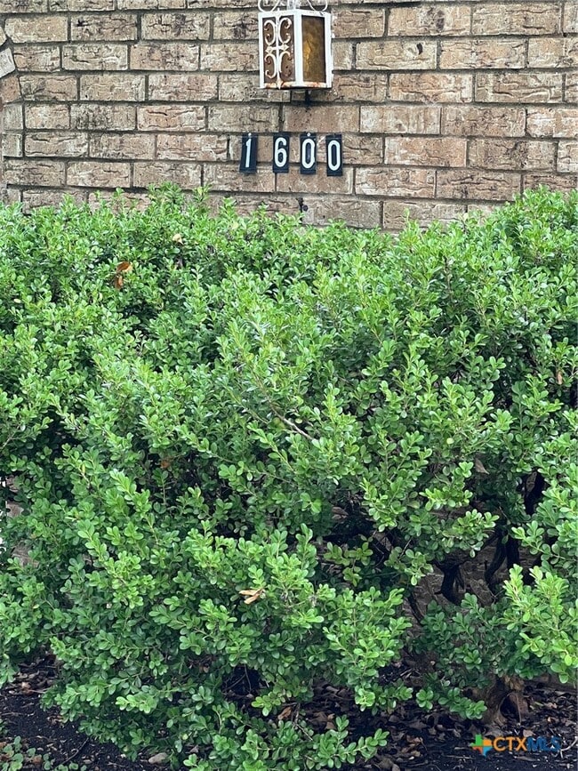 Building Photo - 1600 Halbert St