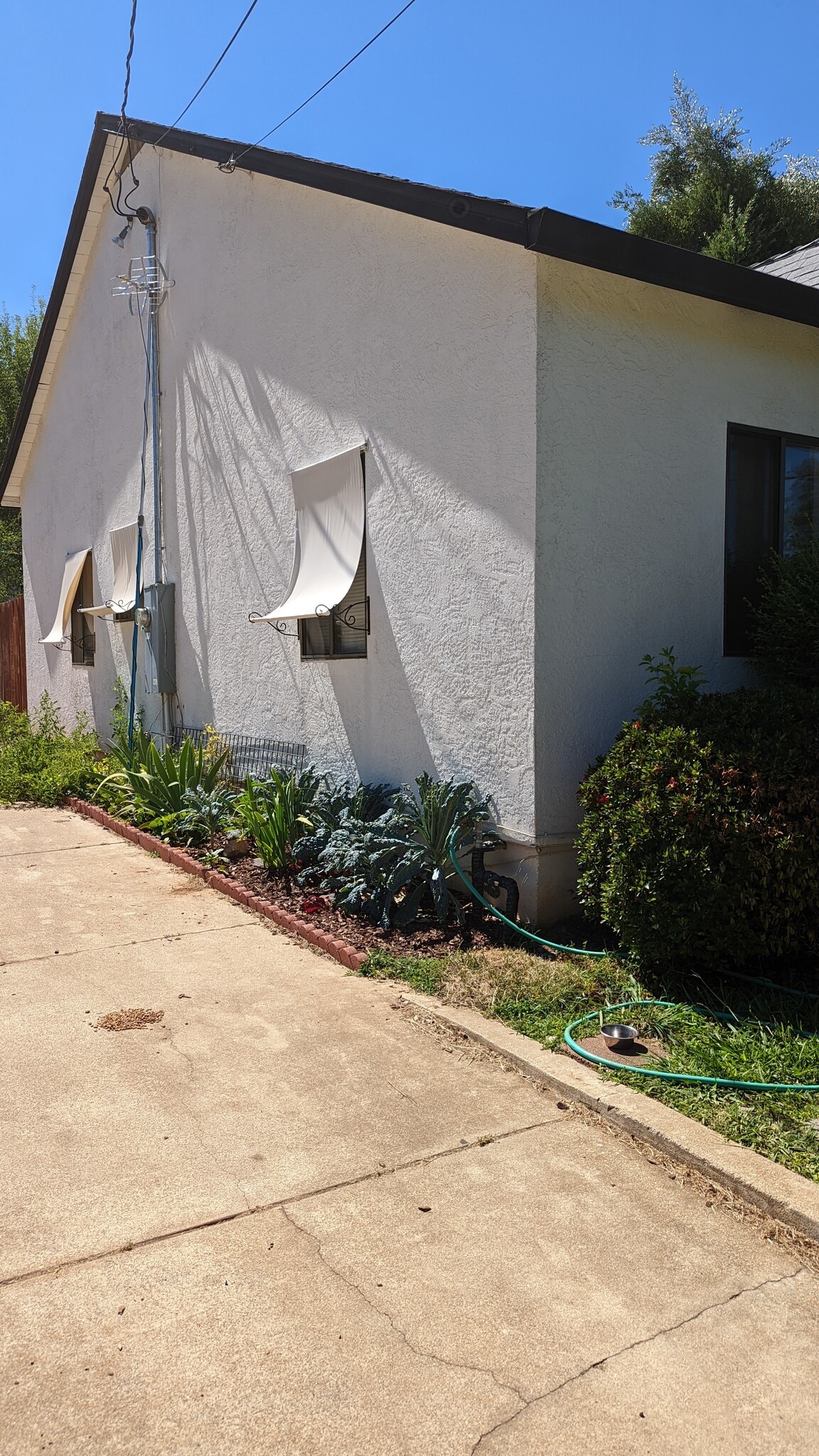 Side yard and drive way - 2214 Waldon St