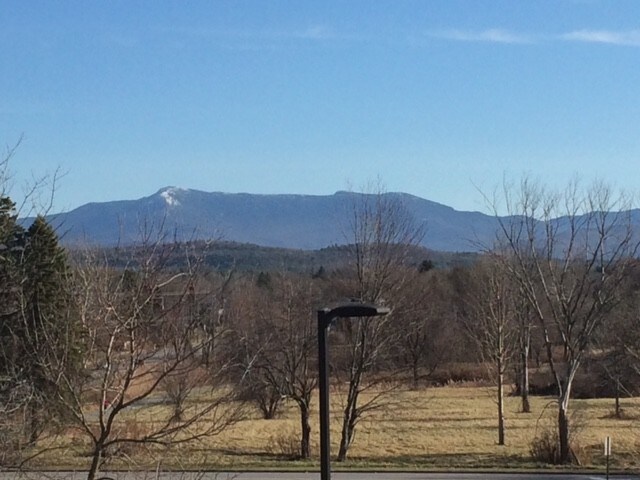 Building Photo - 20 Carmichael St