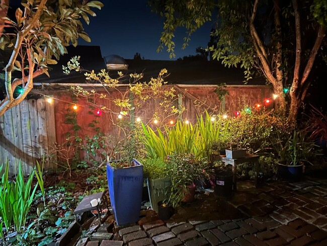 Colorful lights on the patio - 1515 Valley Rd