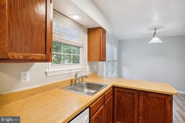 Building Photo - 12627 Black Saddle Ln