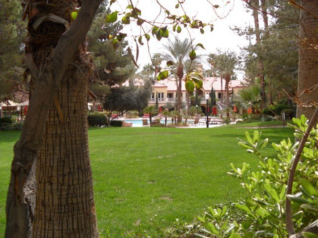 Building Photo - Meridian - Unfurnished 1 Bed|1 Bath Luxury Condo with Main Pool View.