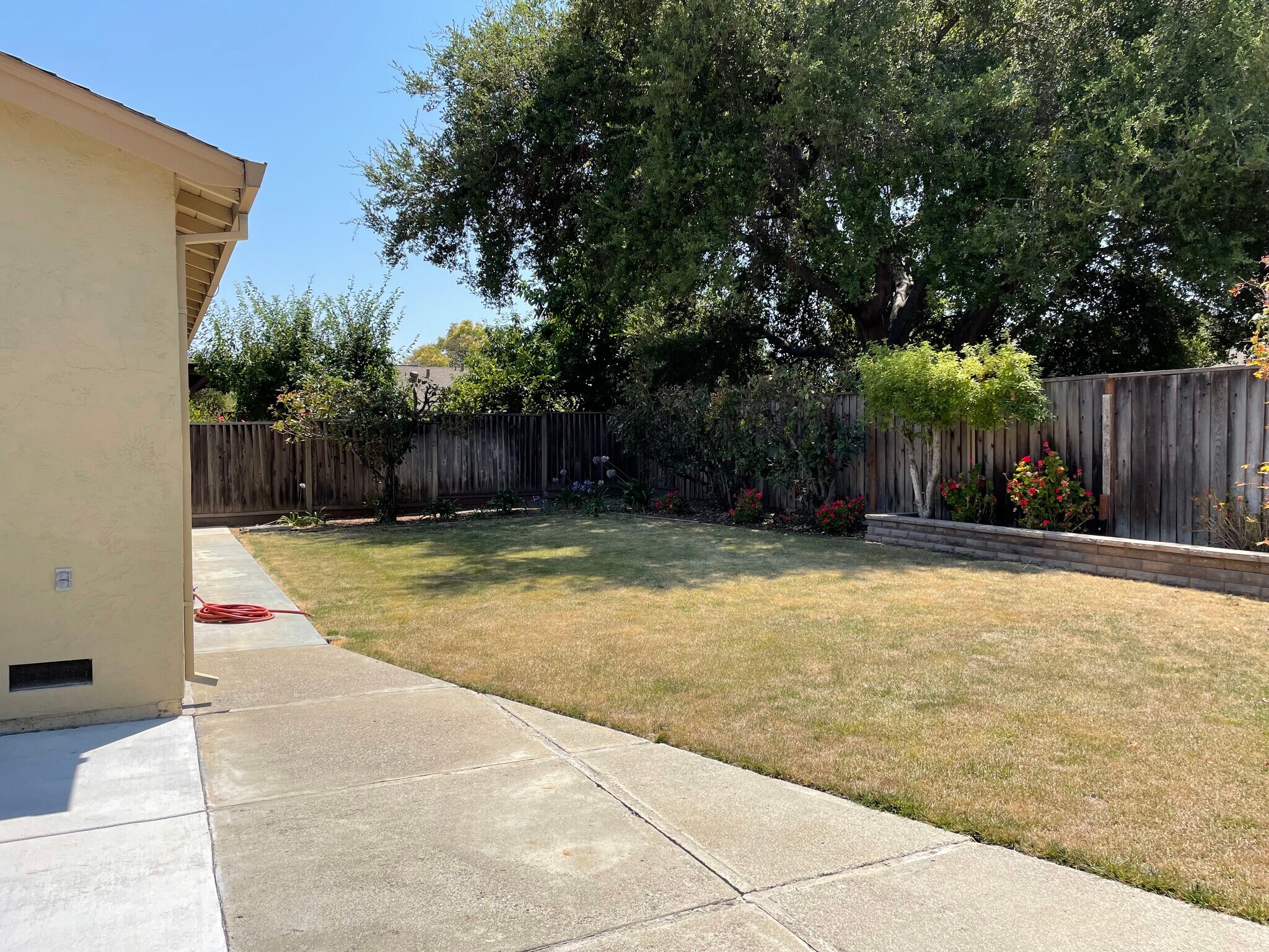 Backyard - 3724 Edgefield Drive
