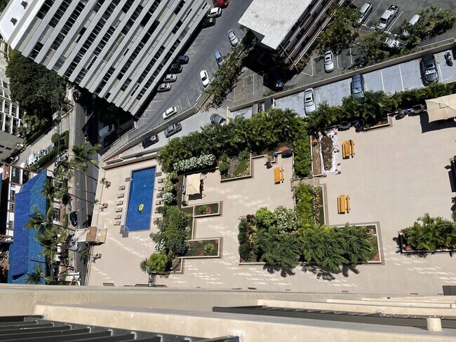 Building Photo - Waikiki, Pet Friendly. Central AC