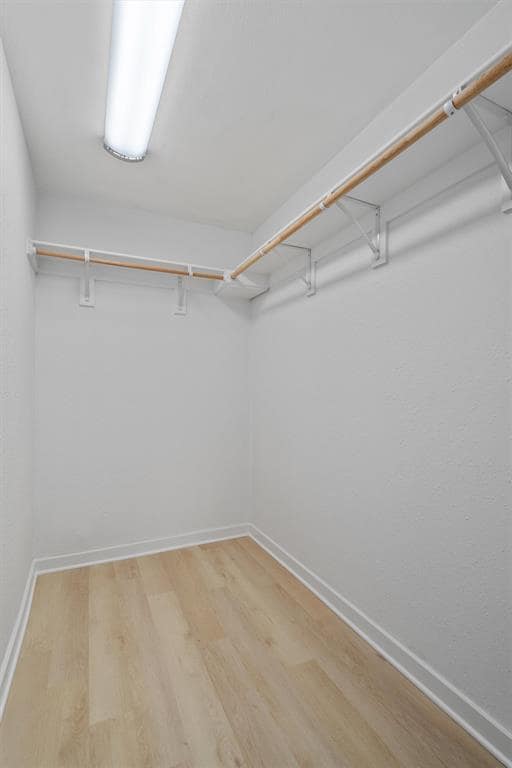 Building Photo - 8907 Creekmont Cove