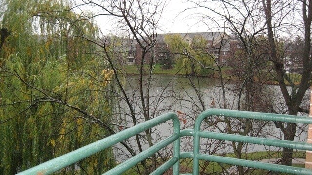 Building Photo - 925 Casey Ct