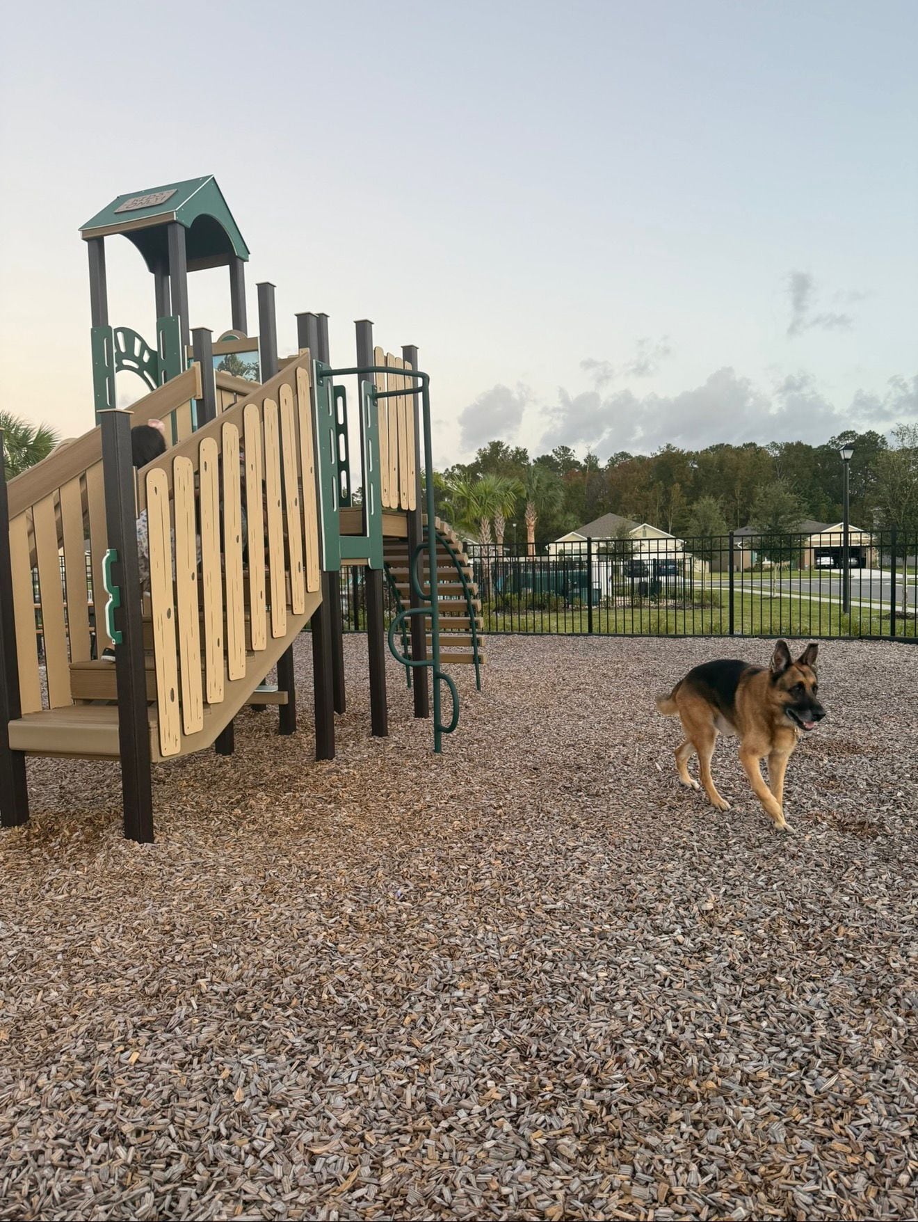 Building Photo - 3771 Alder Bark Ln