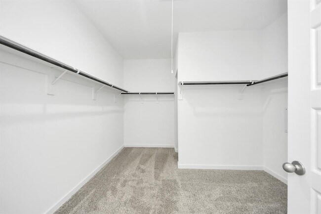 Building Photo - 1319 Star Grass Ln