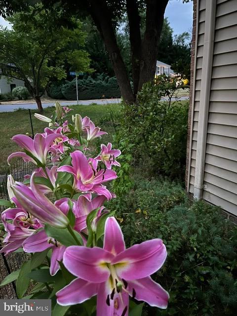 Building Photo - 12701 Pinecrest Rd