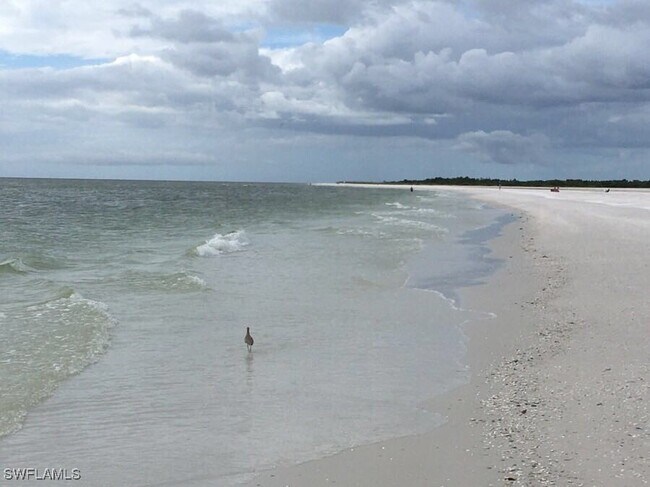 Building Photo - 829 W Elkcam Cir