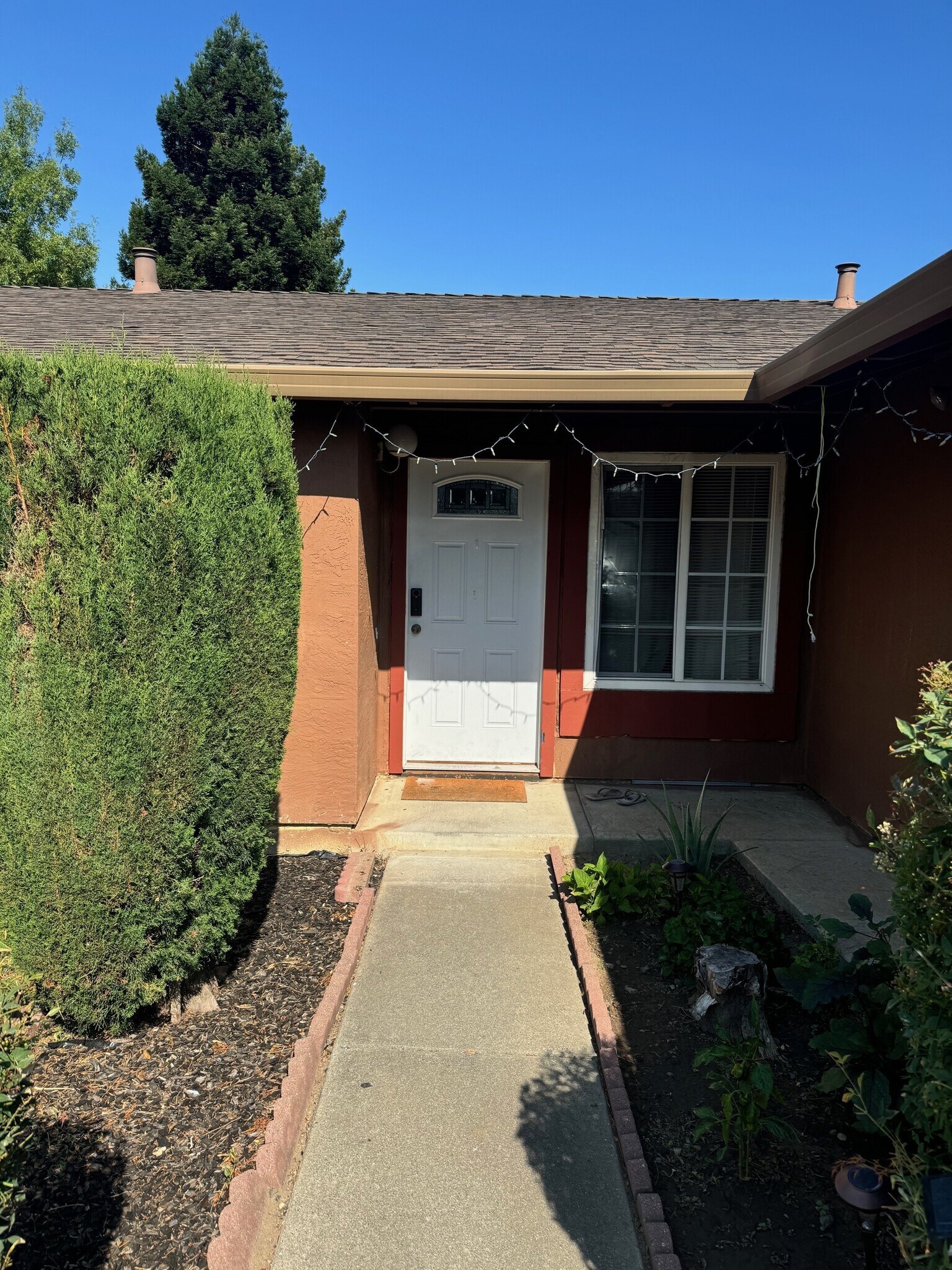 Building Photo - 3101 Wolsey Pl