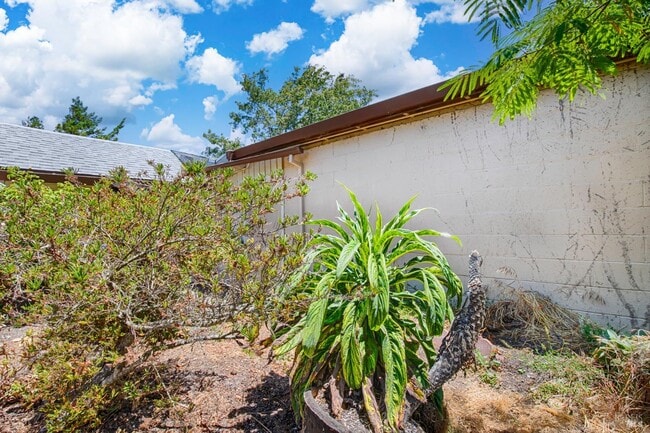 Building Photo - 20 Eucalyptus Rd