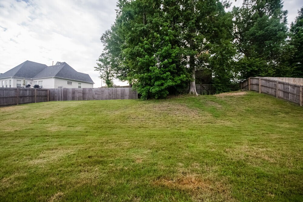 Building Photo - 6156 Trail Creek Ln