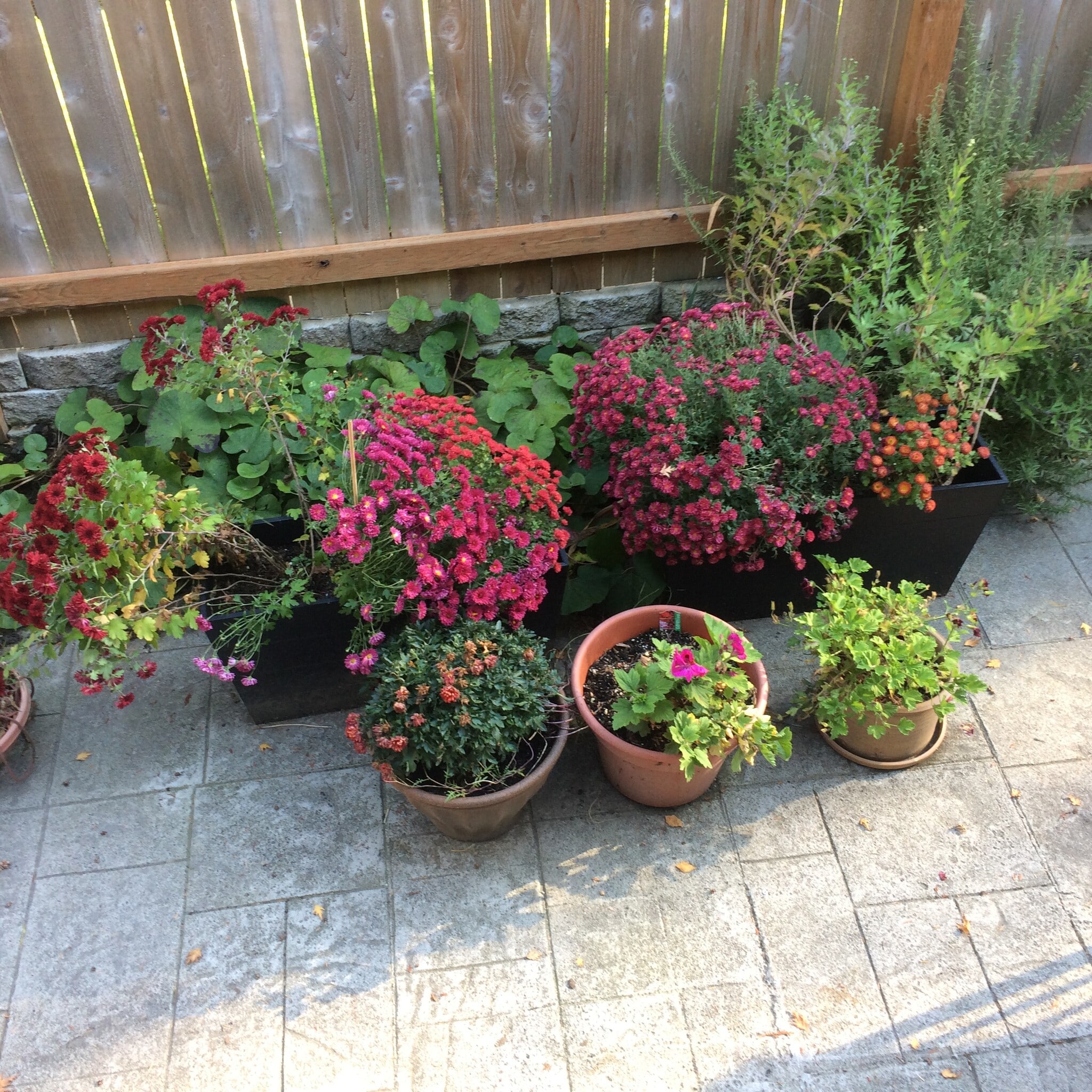 Building Photo - 1002 N 5th St